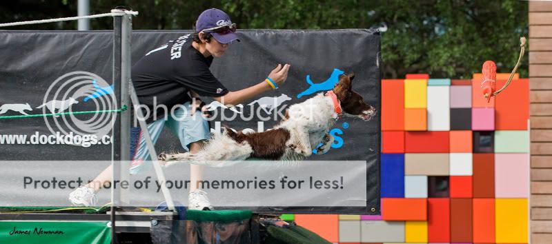 0628_DockDogs_4679.jpg