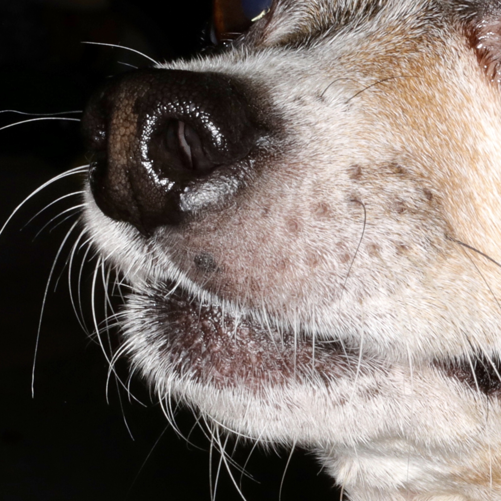10762008640_5D4_5754.jpeg