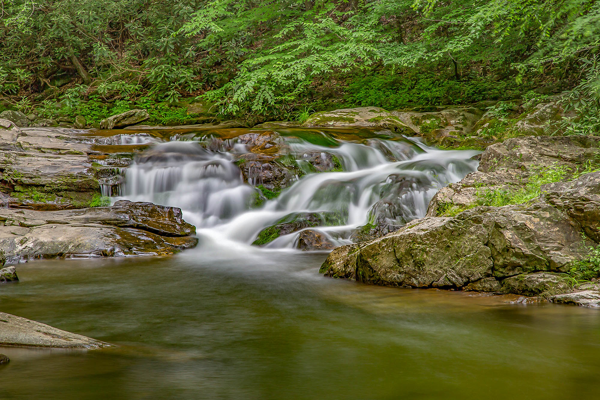 224_SMNP_MovingWater_1DX15922.jpg