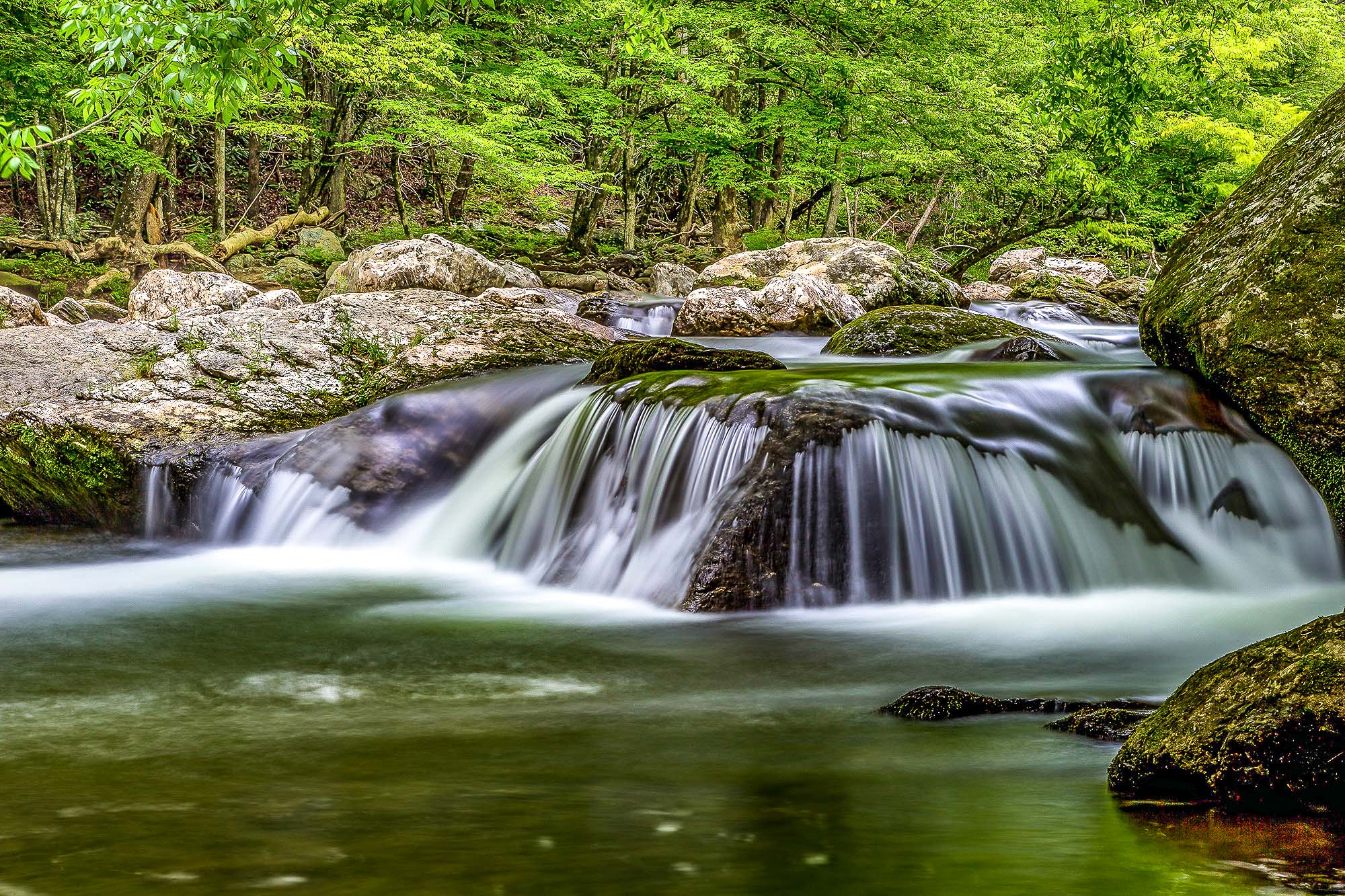 225_SMNP_MovingWater_1DX16507fb.jpg