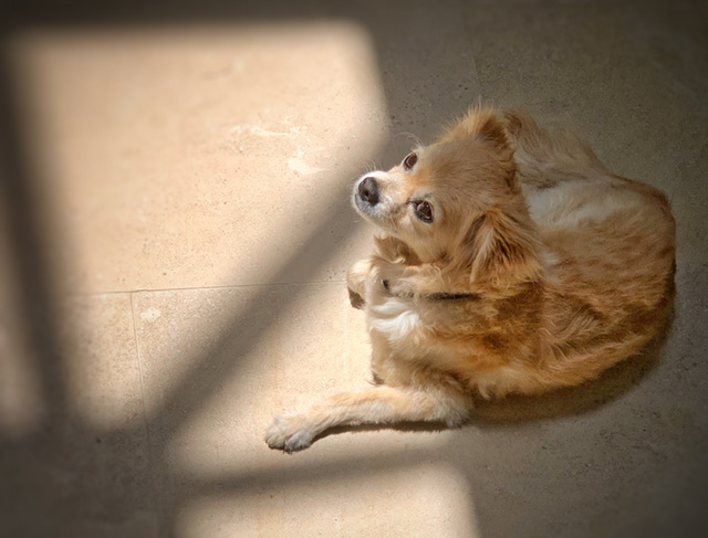 4514A8A4-3596-49F8-8361-33F62AAB6167.jpeg