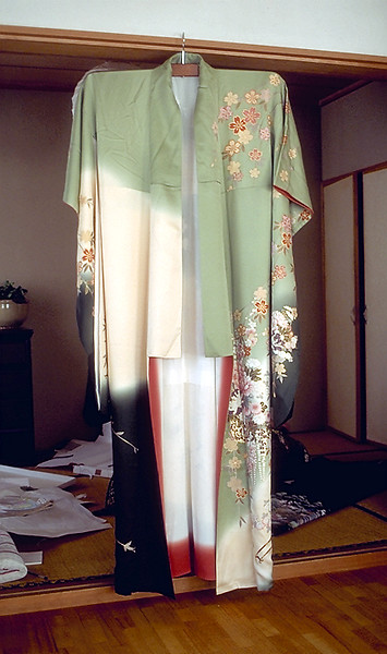 5382973.Kimono-L.jpg