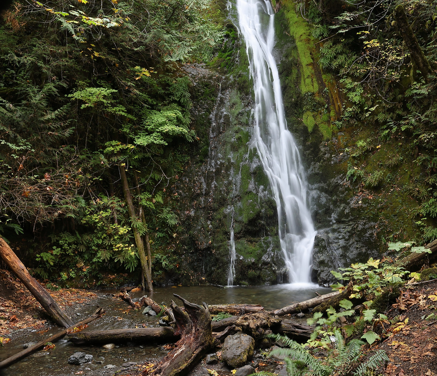 664A0108 DPP4 (resized).jpg