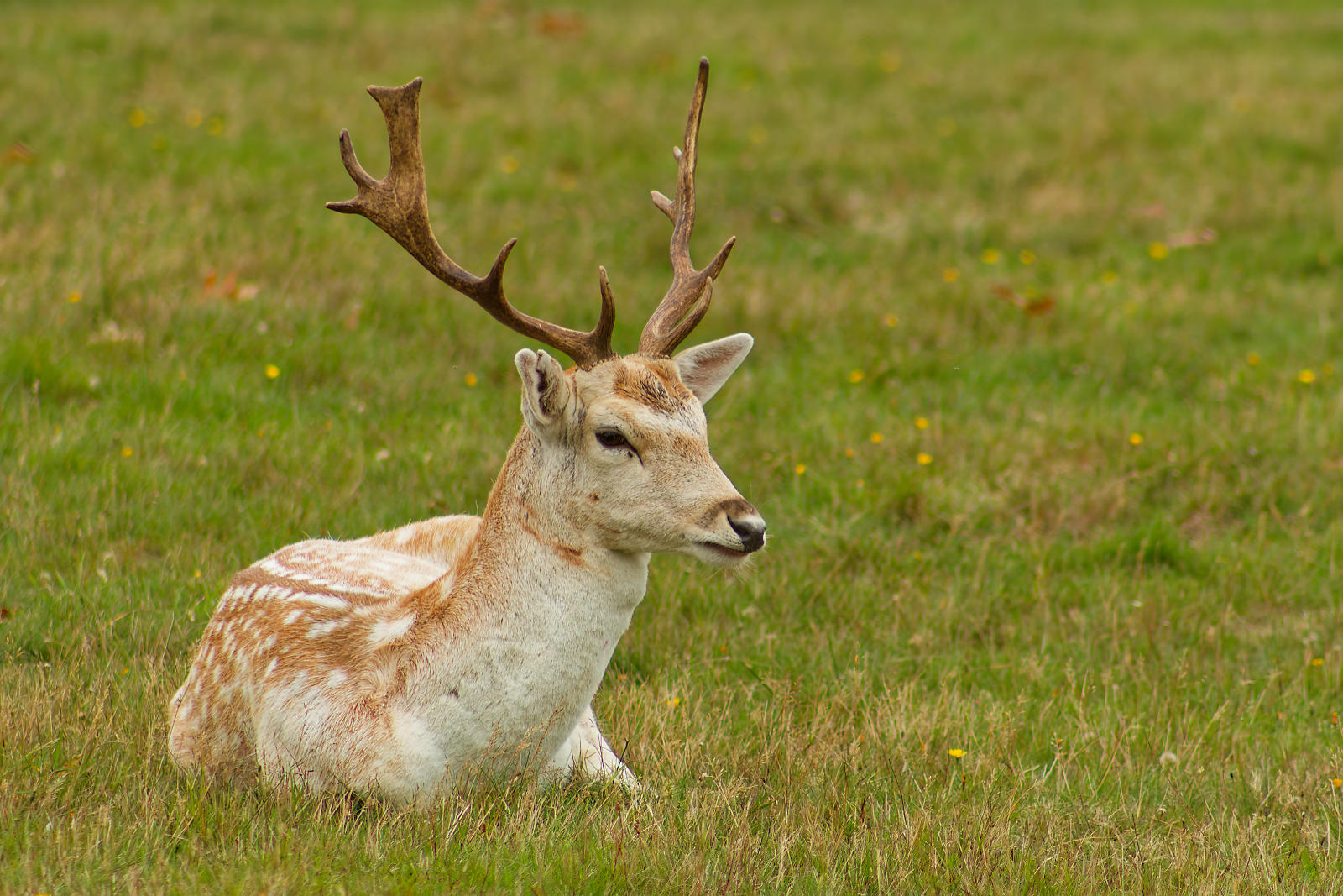 6U1A2328_DxO.jpg