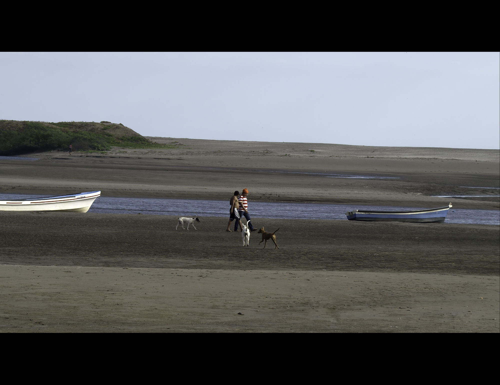 9CF2003C-5424-4E62-9A4C-CD274C163F20.jpeg