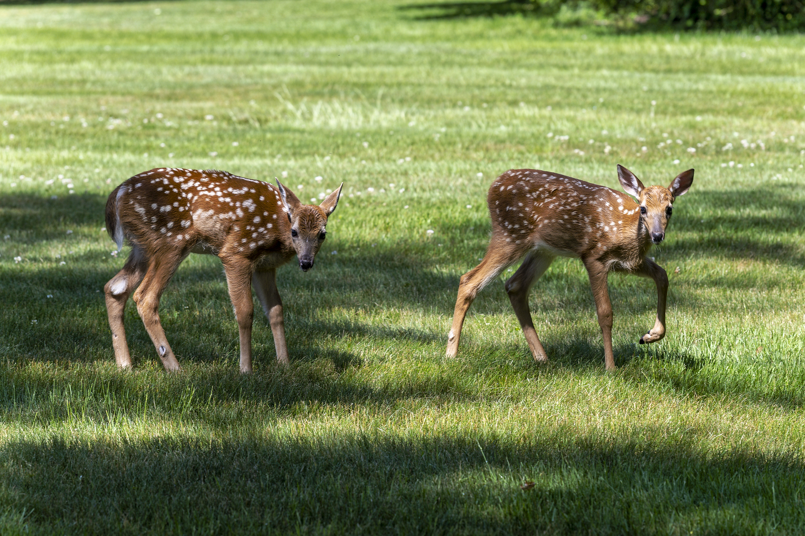 _DSC9327_DxO copy-X3.jpg