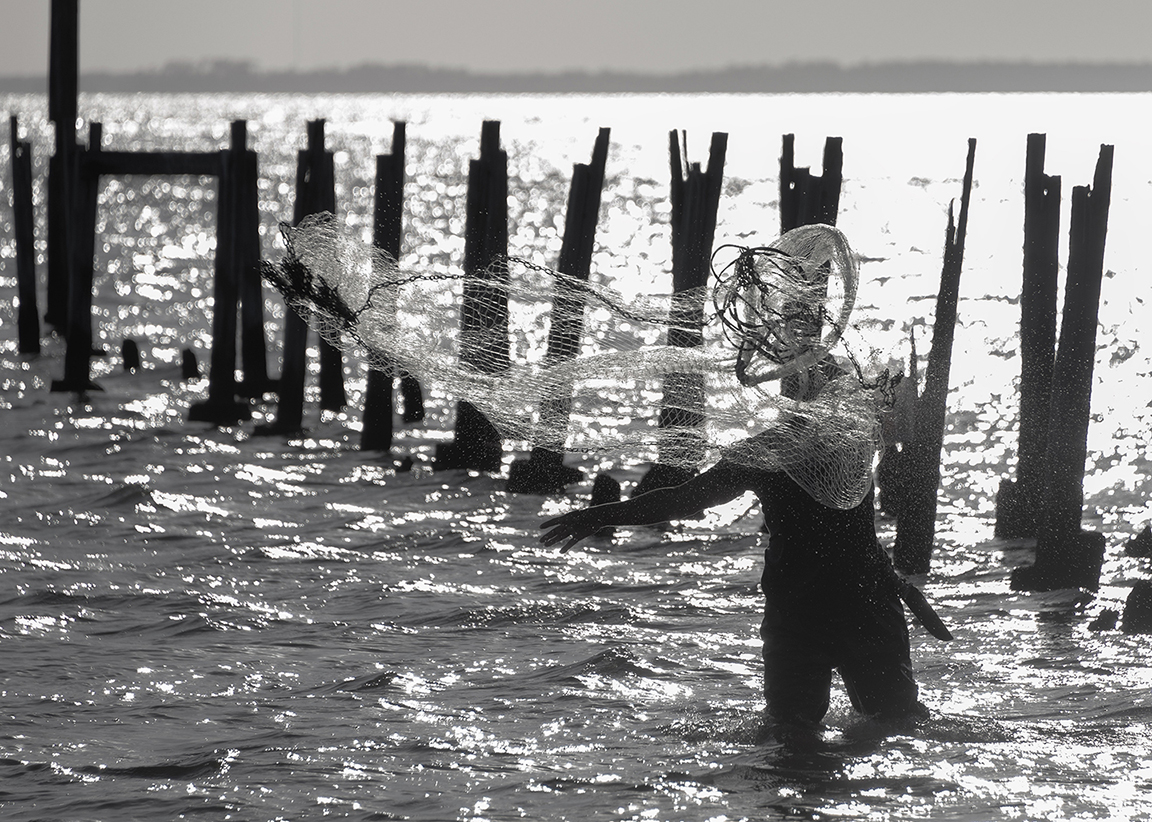 cast-net-on-water 2.jpg