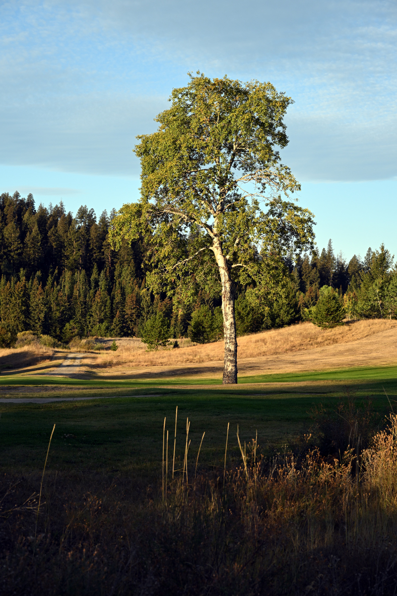 DSC_7771.JPG