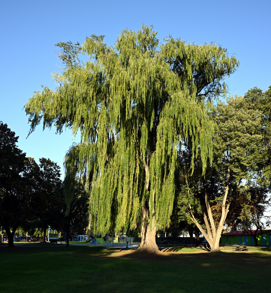 DSC_7813.JPG