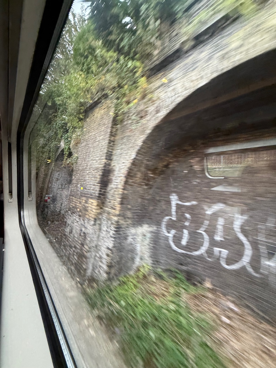 IMG_7549.jpeg