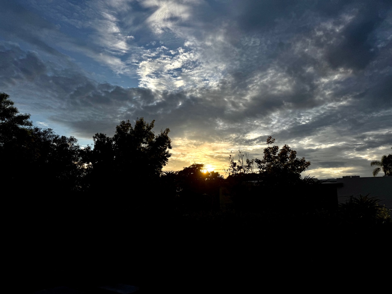 IMG_8359.jpeg