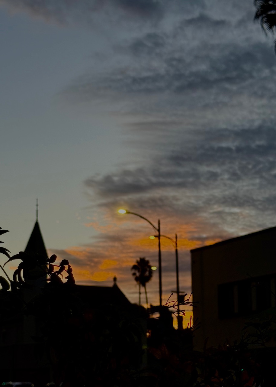 IMG_8391.jpeg
