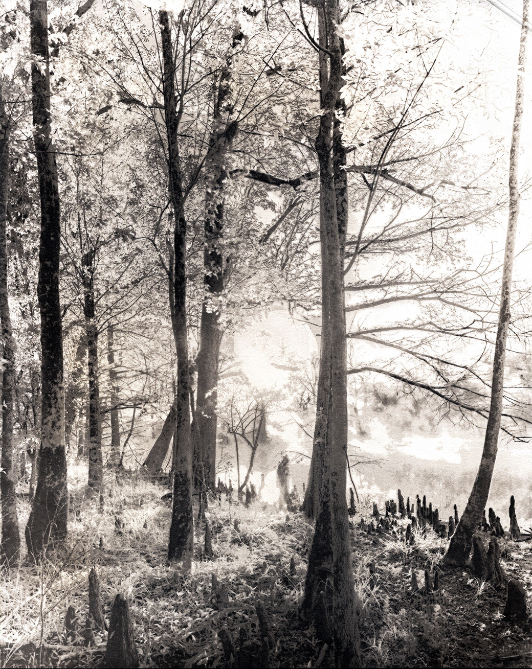 ir sunrise.jpg