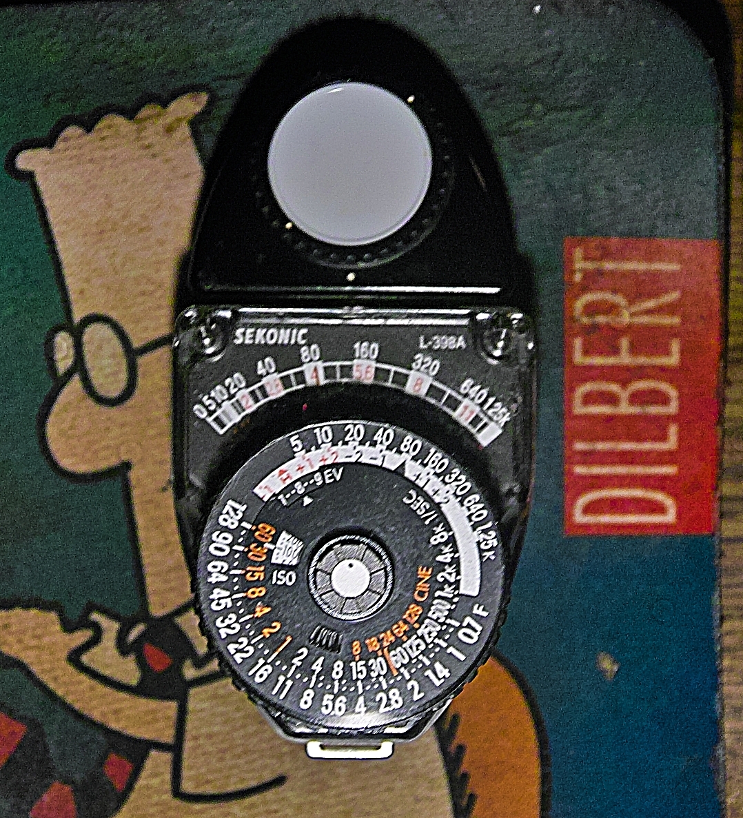 l-398A- 100 ISO.jpg