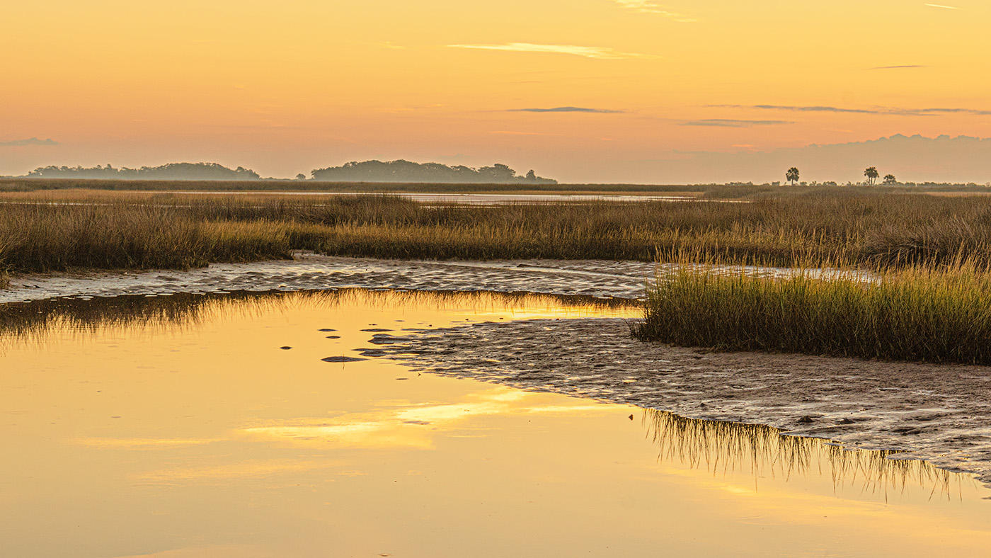 marsh sunrise 2 copy 3.jpg
