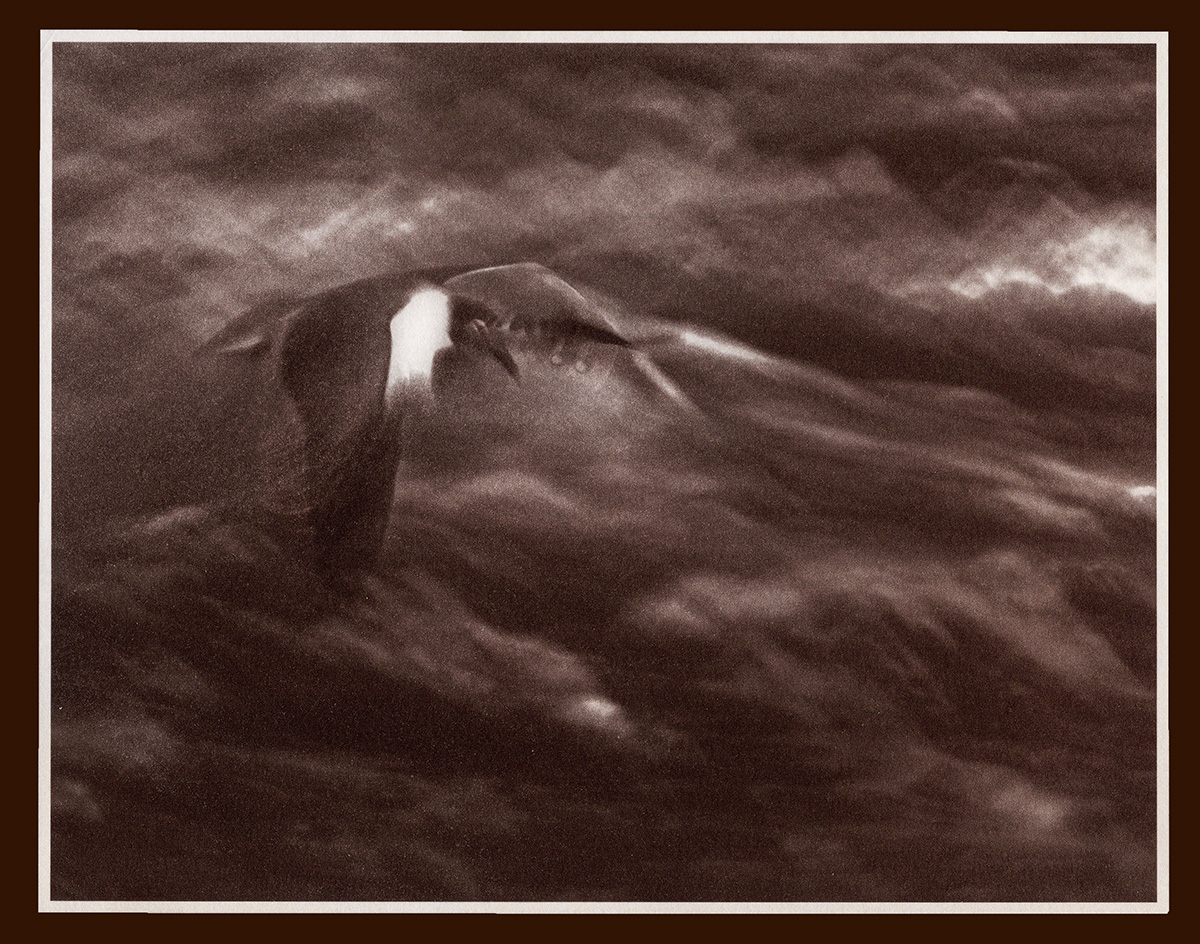 Night Flight Over a Stormy Sea copy.jpg