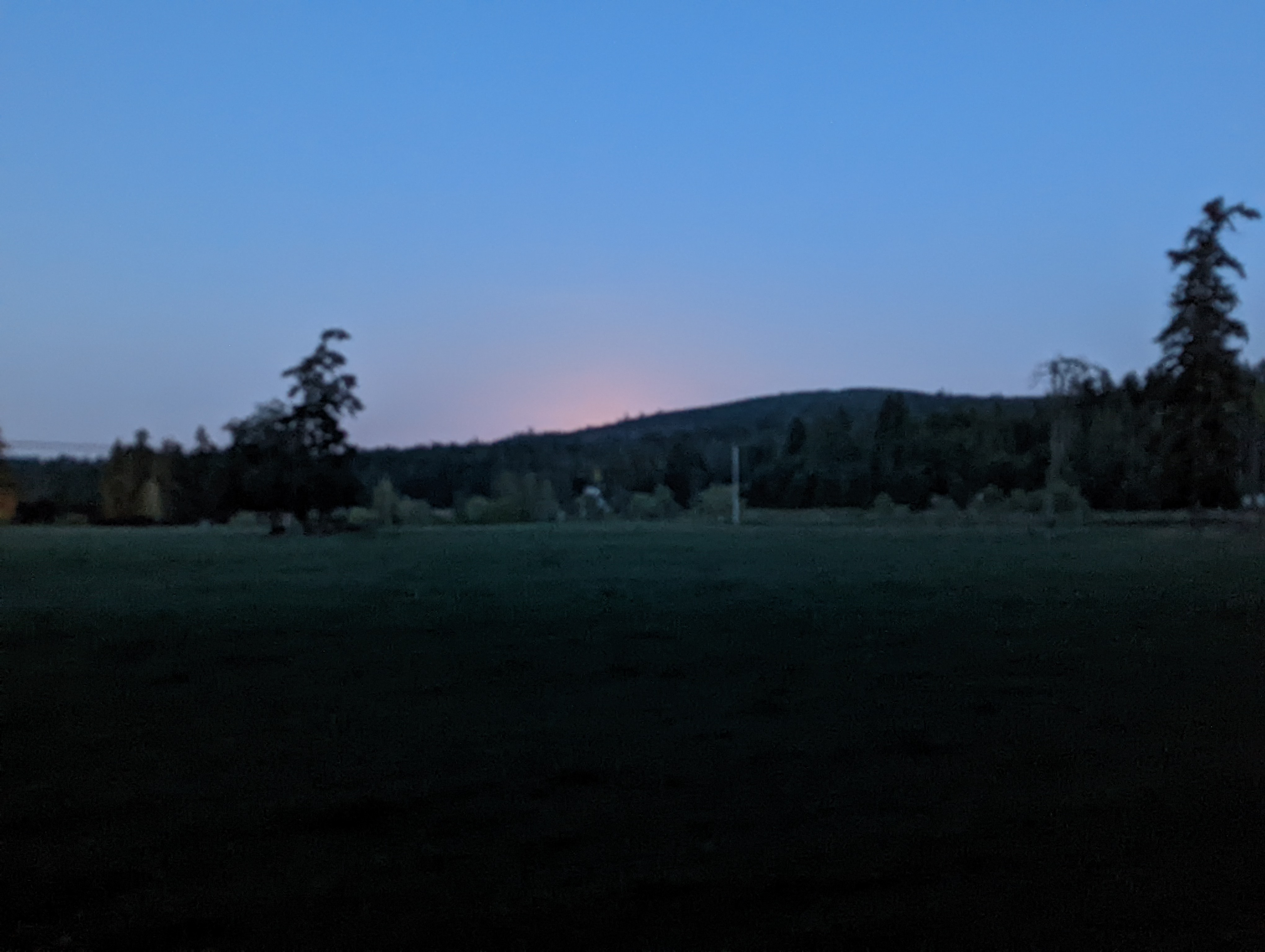 PXL_20220714_051253853.jpg