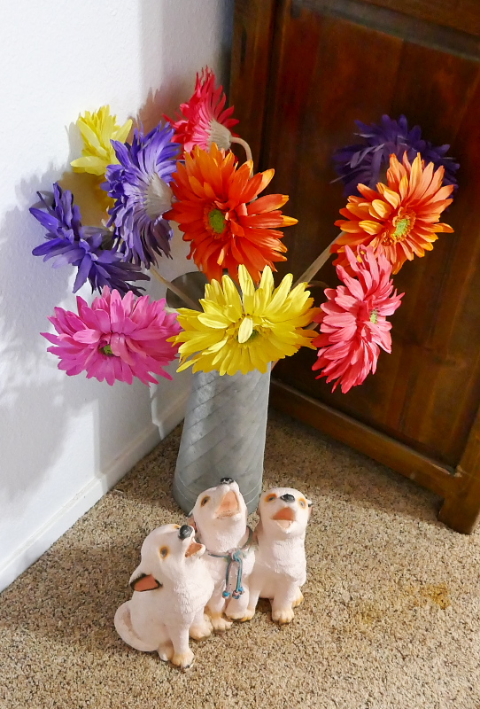 R07040-01-s800.jpg R07040-01-s800.jpg