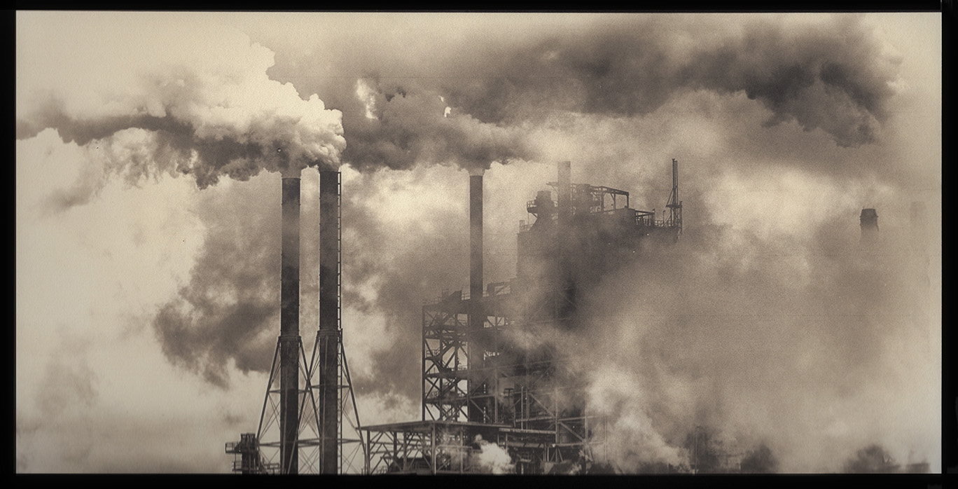 Smokn' Paper Plant copy 4 net.jpg