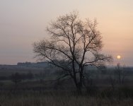 IMG_3164.jpeg