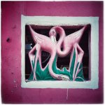 IMG_8400.jpeg