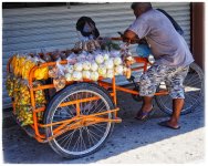 IMG_8395.jpeg
