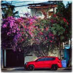 IMG_8455.jpeg