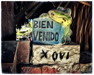 IMG_8931.jpeg