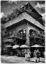 IMG_8953.jpeg