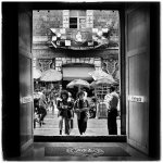 IMG_2420.jpeg