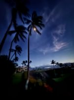 IMG_5394.jpeg