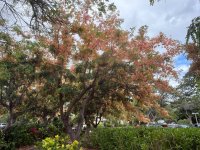 IMG_5434.jpeg