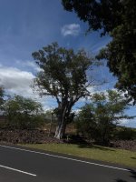 IMG_6038.jpeg