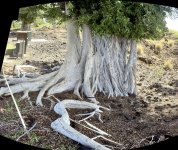 IMG_6129.jpeg