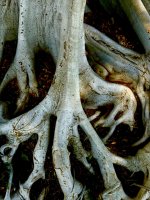 IMG_6058.jpeg
