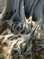 IMG_6061.jpeg