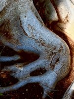 IMG_6059.jpeg