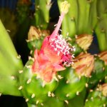 IMG_6307.jpeg