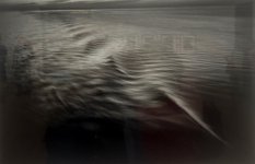IMG_7217.jpeg