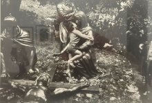 IMG_7213.jpeg