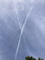 IMG_7438.jpeg