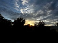 IMG_8359.jpeg