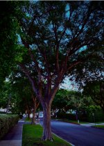 IMG_8408.jpeg