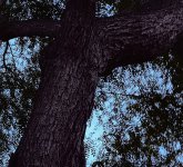 IMG_8374.jpeg