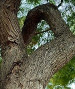 IMG_8370.jpeg