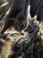 IMG_6062.jpeg