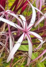 IMG_8483.jpeg