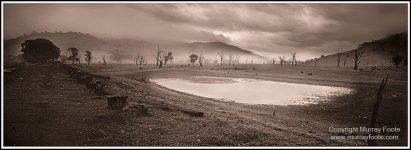 IMG_8535.jpeg