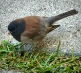 IMG_8533.jpeg