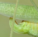 IMG_8689.jpeg